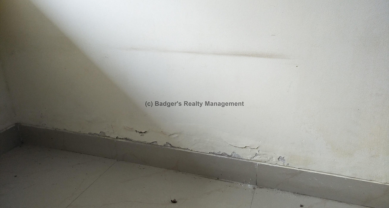 Seepage on Walls