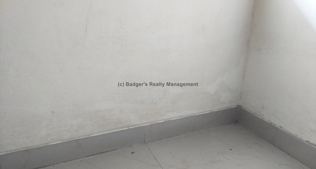 Seepage on walls